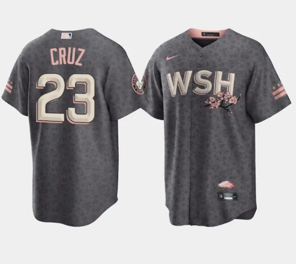Men's Washington Nationals #23 Nelson Cruz 2022 Grey City Connect Cherry Blossom Cool Base Stitched Jersey