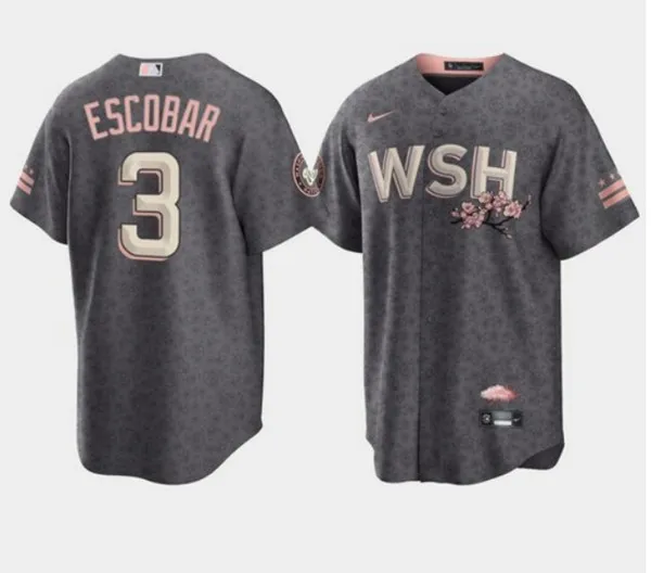 Men's Washington Nationals #3 Alcides Escobar 2022 Grey City Connect Cherry Blossom Cool Base Stitched Jersey
